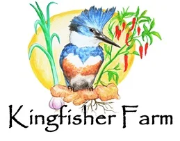 Kingfisher Logo